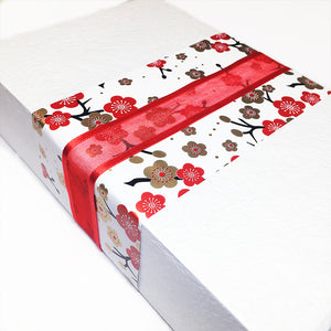 Premium Facial Pamper Pack